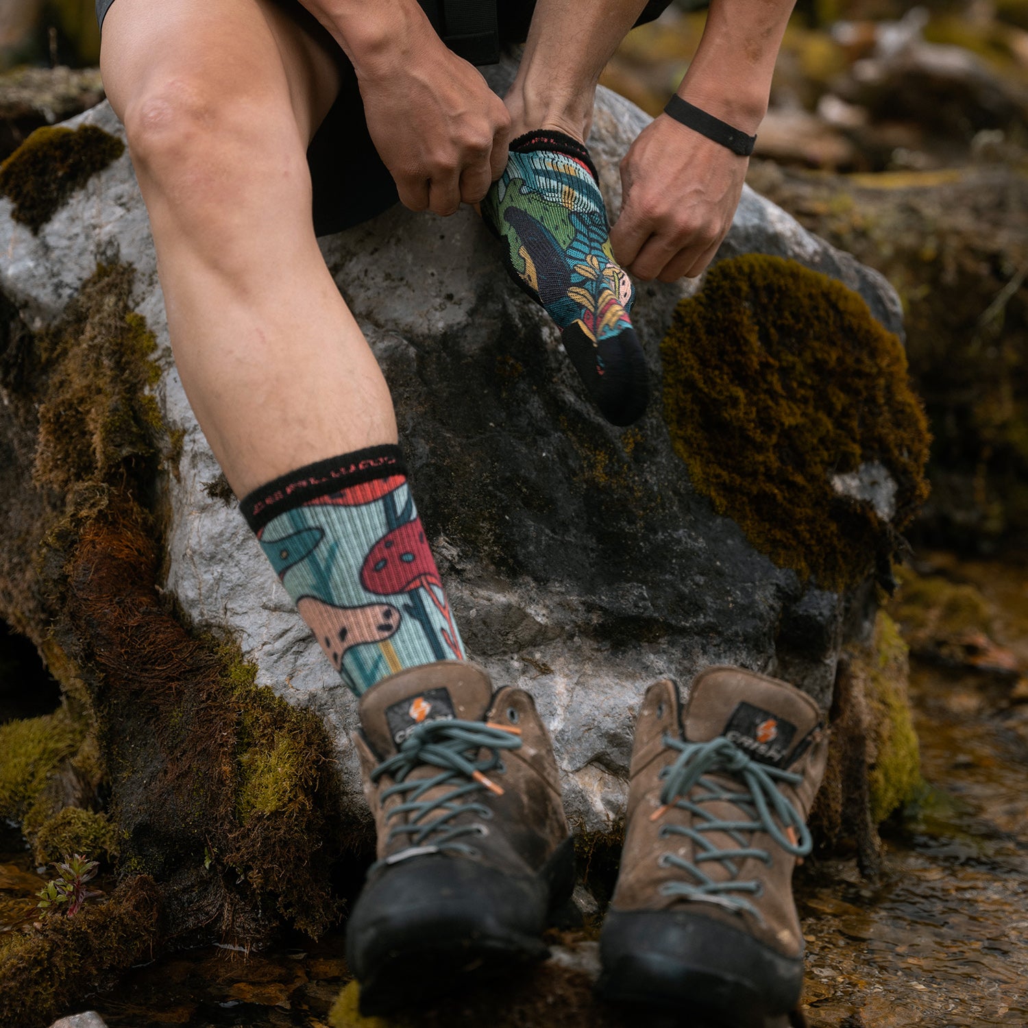 PATTERN TRAINING Merino Wool Crew Socks(New)
